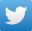 twitter page