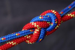 Understanding the Involuntary Business Bankruptcy Process